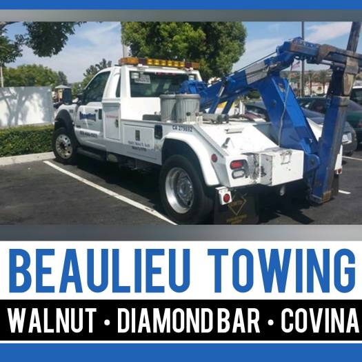 13580453_643539839133739_5446243804136809246_o